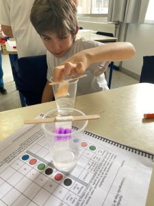 WhatsApp Image 2026-02-16 at 10.44.42 (4)