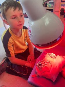 WhatsApp Image 2026-02-16 at 10.44.44